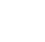 borealis_logo